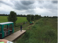 Moorbahn Ahlener Falkenmoor