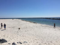 Robben am Strand Duene Helgoland